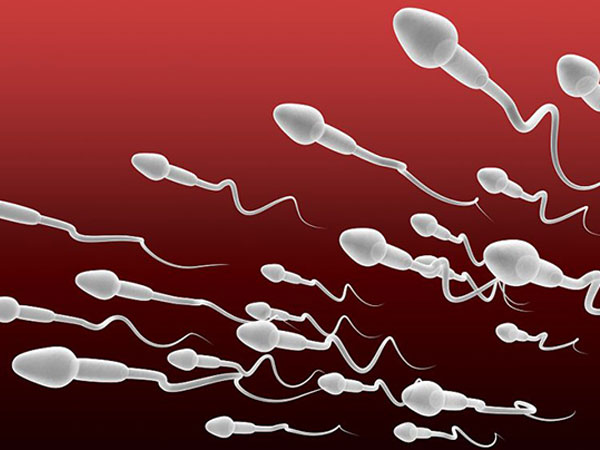 丹麦精子银行的精子可以通过国际直邮快递寄到中国吗？