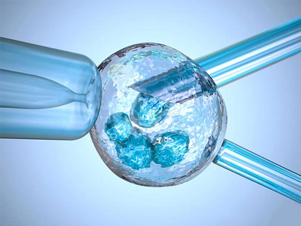 鞍山市有能做二代试管的医院吗？