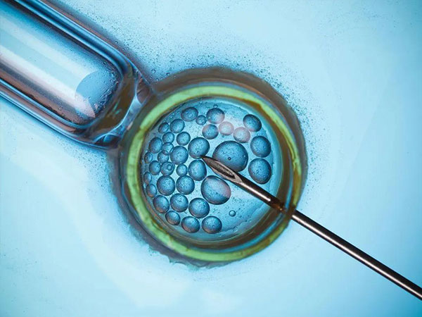 打夜针后一次取了35个卵子是不是太多了？