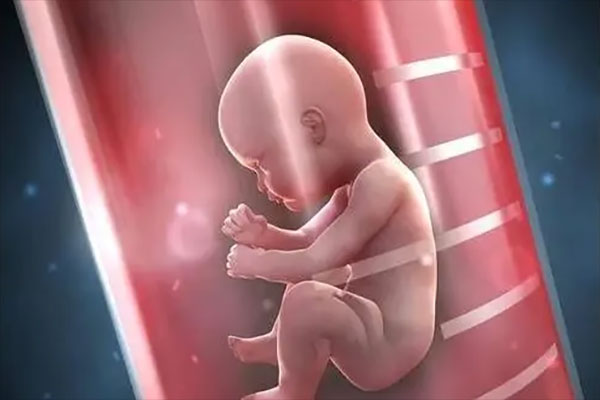 揭秘试管婴儿从进周到取卵的全过程