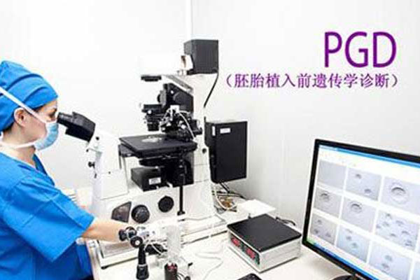 惠州市中心人民医院试管医院的地址具体在哪里？