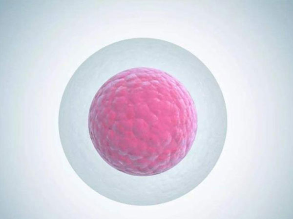 促排期间双侧窦卵泡和基础卵泡是一样的吗？有什么区别？