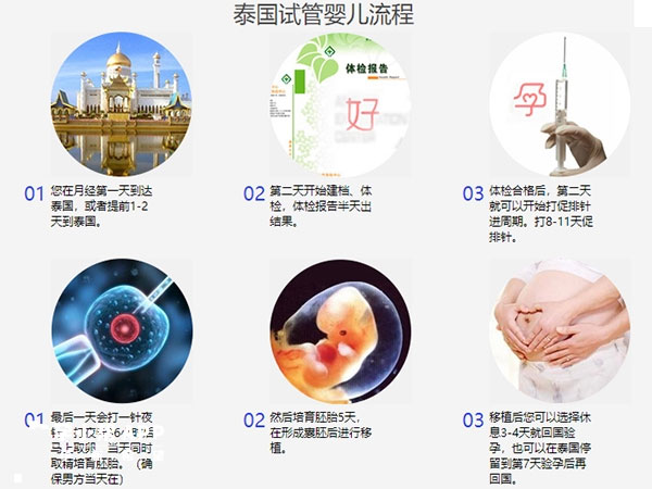 泰国试管婴儿取卵流程，取卵前必读攻略