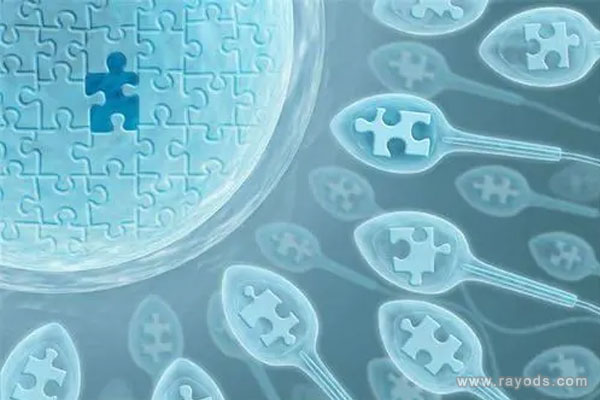 为什么现在这么多人去香港做试管婴儿？