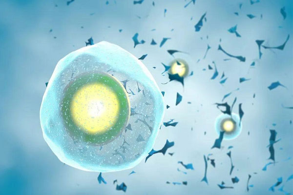 冷冻卵子不是人人都能做,适合冻卵的三种人群