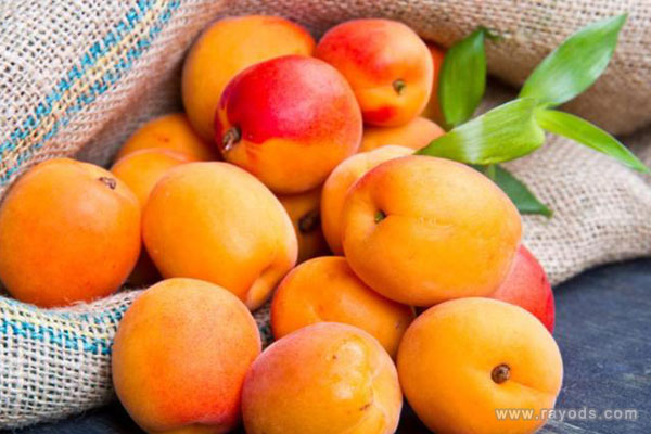 孕妇梦见吃杏子里面有虫子是生男生女？