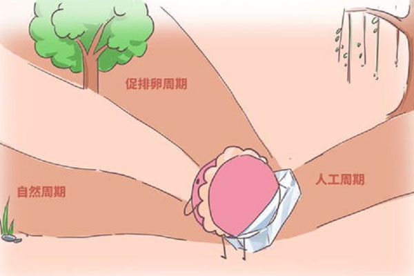 微刺激方案最佳移植时间是当月移植吗？