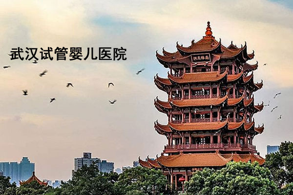 武汉试管婴儿去哪里做？五家试管婴儿医院别错过
