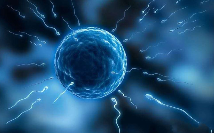 成都人工授精费用明细表，最新政策解读医保是否能报销