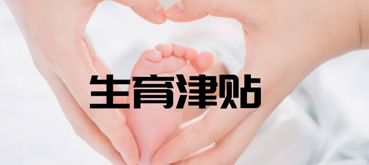 本人去报销个人生育津贴的申请办理流流程总共分哪几个步骤？