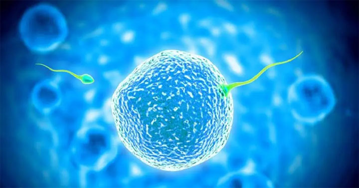 这几种人做试管婴儿成功率更高，不是也没关系，教你5招提高成功率