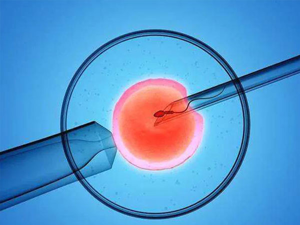 都说5bc是最差的囊胚，还有必要移植吗？