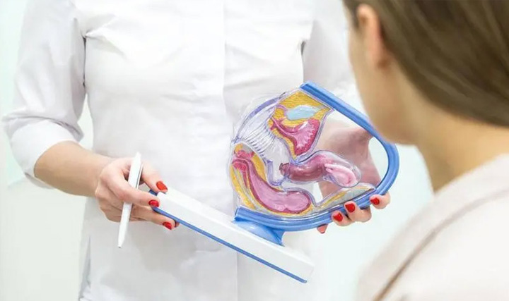 做试管的姐妹试管胚胎中mii是什么意思