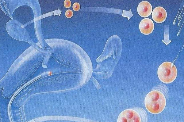 第一代试管婴儿怎么做的全过程，从前期检查到验孕一共6个步骤