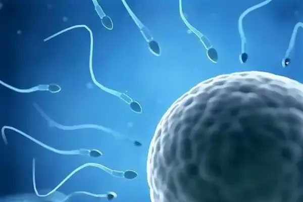 什么是XY精子分离术？第三代试管和XY精子分离术的区别