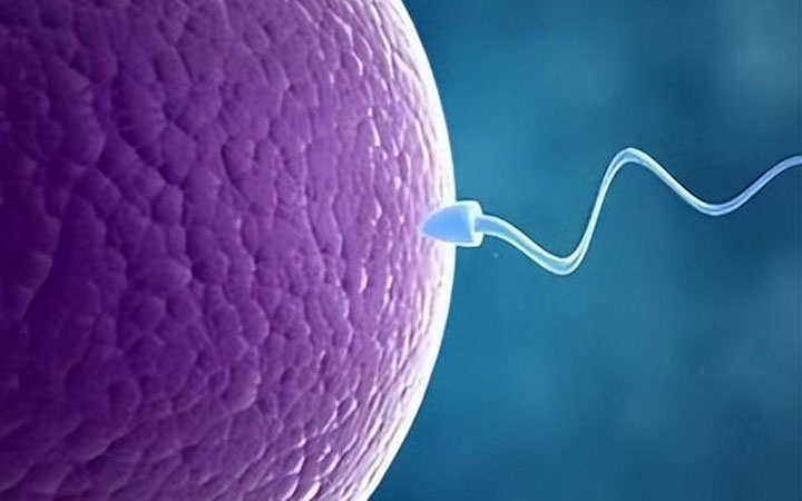 西安人工授精费用公布，医院收费在一万元左右