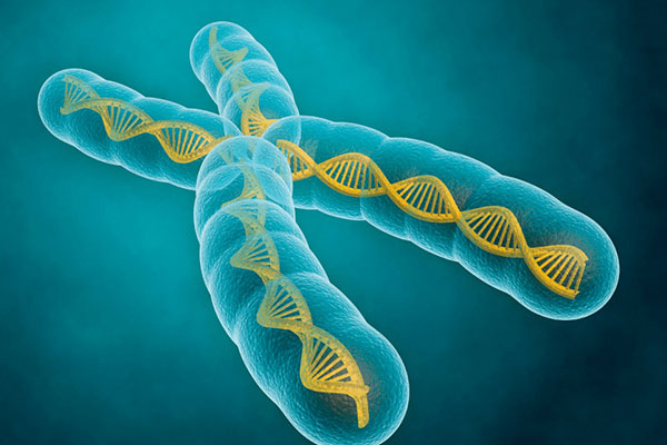 第三代试管婴儿可筛查的125种基因疾病，具体内容如下