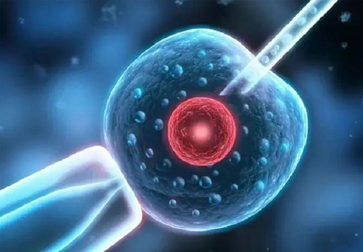 阜新二院做试管婴儿要多少钱？附2023阜新助孕费用