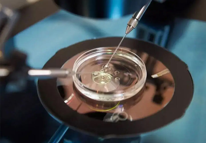 夫妻双方在大医院建档后要如何确定试管方案？