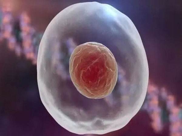 那些高龄做试管的人，卵泡数量少要怎么办？