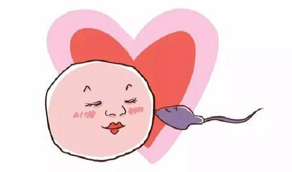 怎么才能判断出是不是高质量的卵子？