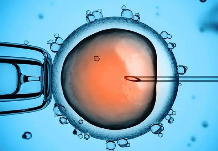 阜阳市人民医院做试管婴儿要多少钱？