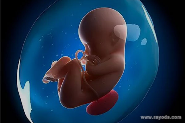 试管婴儿费用多少钱？告诉你所有的花费明细!