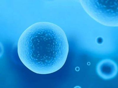 备孕抓住排卵期是关键 女性身体的哪些感觉提示正在排卵？