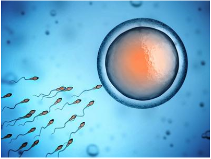 乌克兰未来除了试管婴儿，这些方法也可能助你好孕