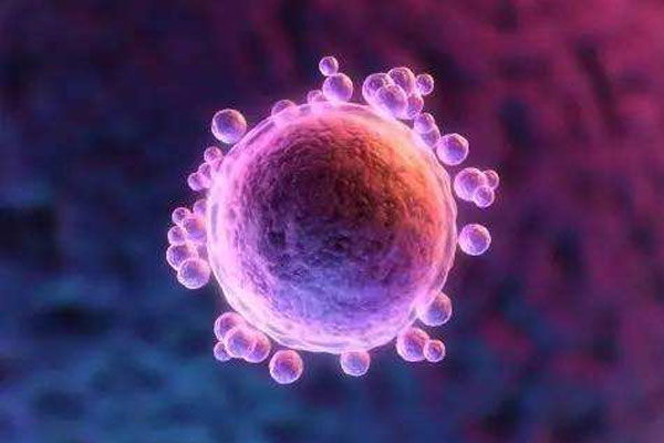 试管婴儿黄体支持用药剂量少会导致流产吗？