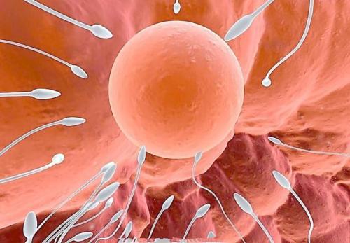 乌克兰试管婴儿常见问题了解一下