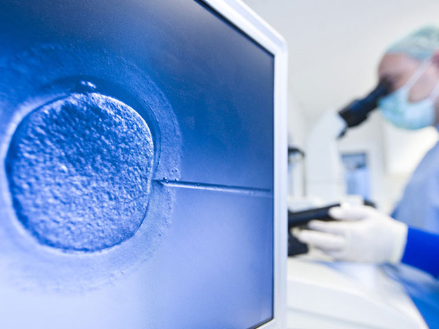 香港第三代试管婴儿过程以及所需时间多长都在这里