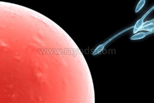 关于香港人工受精的这些事，你肯定不知道