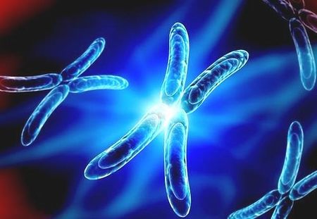 打了促排卵针几天可以移植了,促排卵针一般打几天就可以取卵了