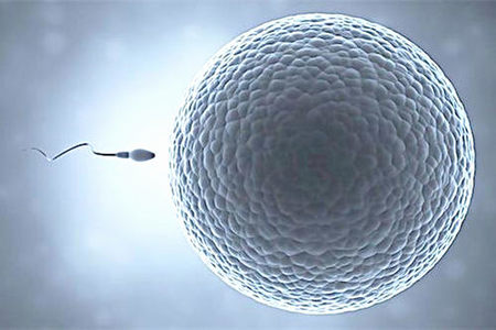 做完人工授精后感觉有东西流出来