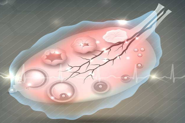 女性备孕指南 告诉你女性备孕吃什么养卵泡