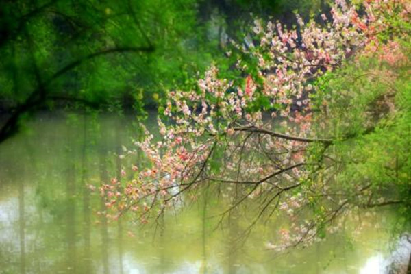 几月份容易生男孩 2021年必定生男孩的月份