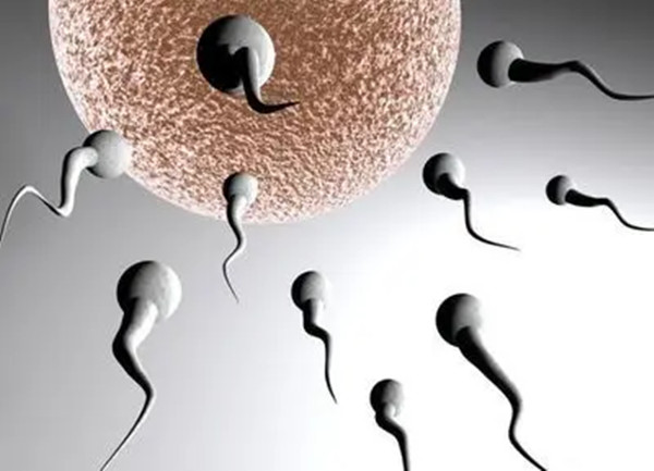 男人调理精子生男孩 三个调理秘方拿走不谢！