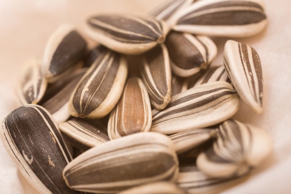 孕妇能吃生葵花瓜子吗 谁再说生瓜子不好我跟谁急