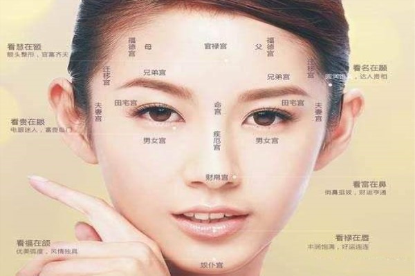 生麒麟贵子的女人特征 看看自己有没有母仪天下的特征