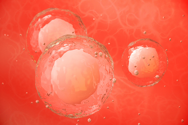 正规医院捐卵子报酬成都（捐卵报酬）