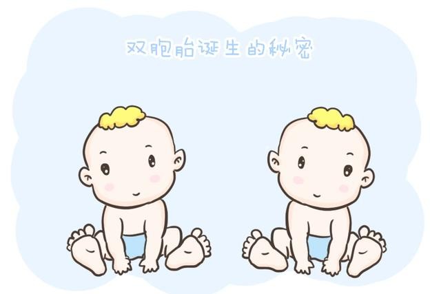 同卵双胞胎是怎么形成的