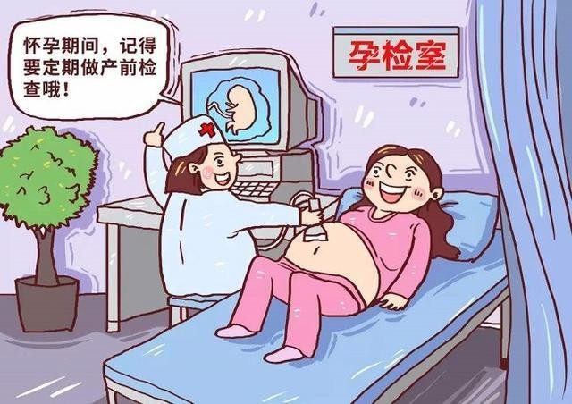 确认怀孕后怎么办