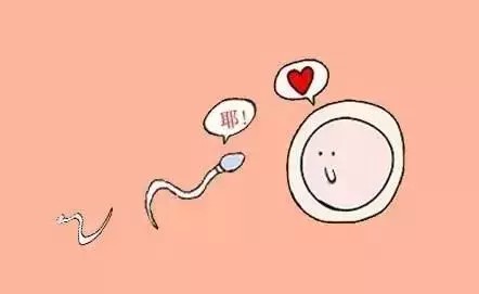 排卵不正常能怀孕吗