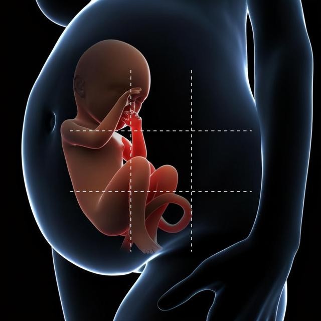 孕妈怀孕常识科普