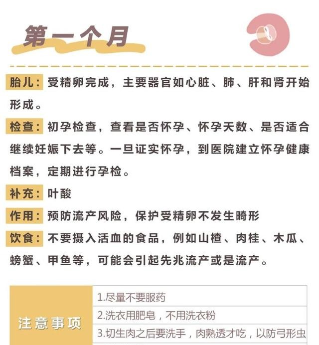 怀孕的过程是什么样子的 全过程解析需要注意什么