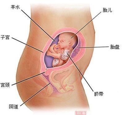 不想戴套怎样才能不怀孕