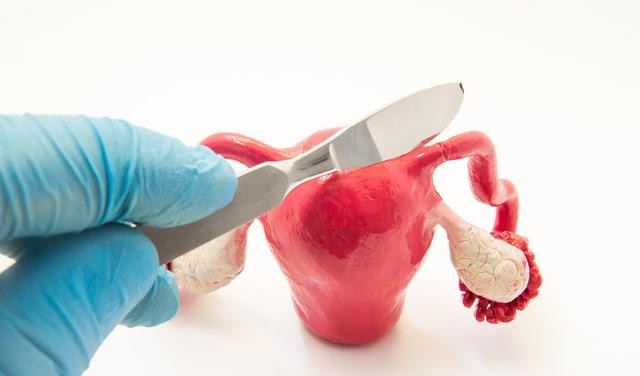 一侧输卵管被切除还能生育吗