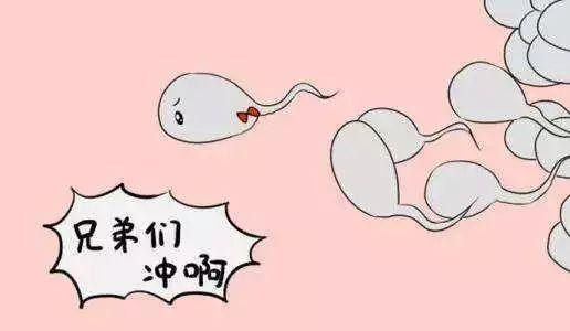 糖尿病对男性生育的影响