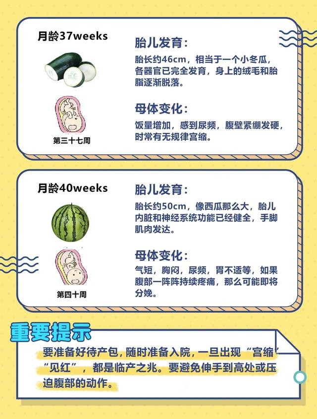 40周孕期全程手册